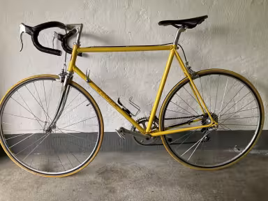 Tigra Herrenvelo