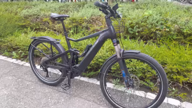 Bulls Iconic EVO TR 1