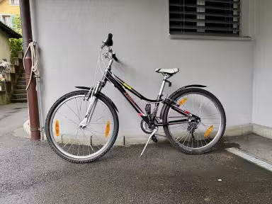 TREK Mt 220
