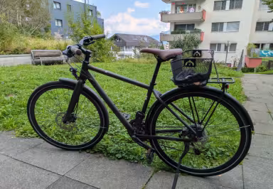 WINORA Talparo Urban