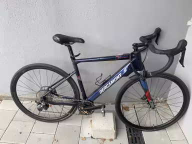 Bergamont Grandurance Elite