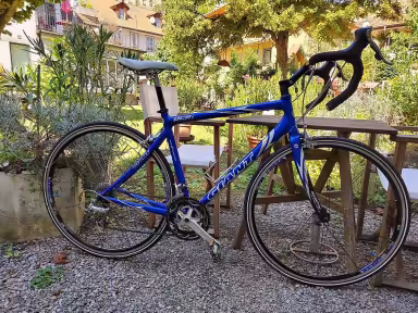 Giant Compact Ocr