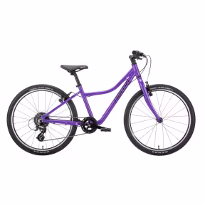 Naloo Chameleon 24" Mk 2.1