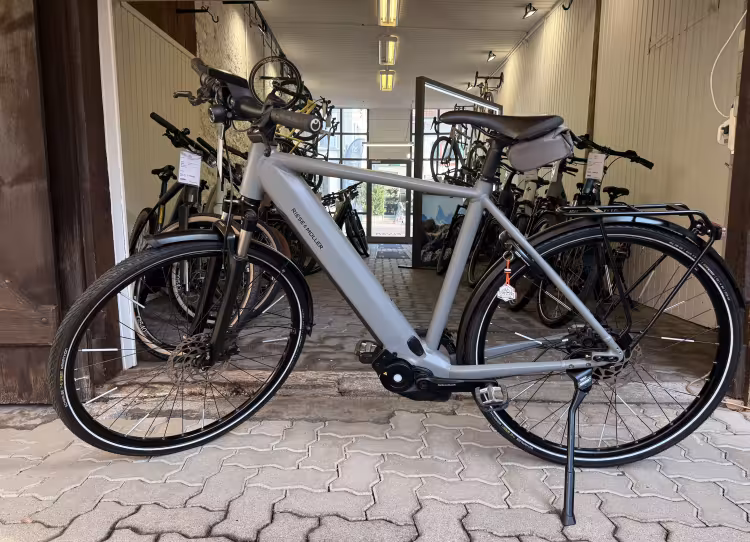 Riese & Müller Roadster Vario