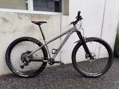 Nukeproof Scout 290