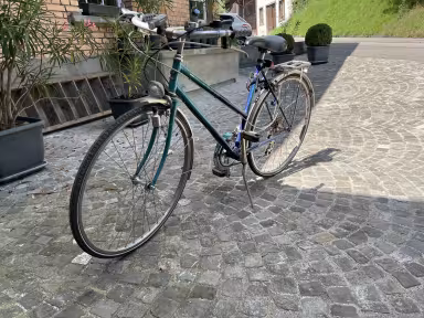 Cresta Damenfahrrad