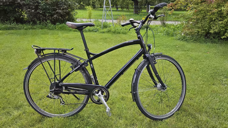 SPECIALIZED Globe Vienne Deluxe