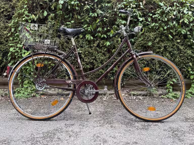 Raleigh Cameo