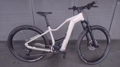 Bergamont E-Revox Pro FMN