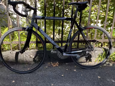 Wilier Triestina Escape Competition