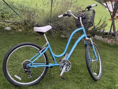 Electra Townie 21D