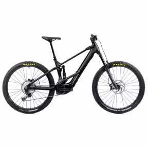Orbea Wild St H20