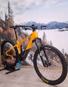 Orbea Wild FS H20