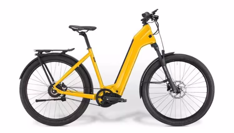 IBEX Vélo Ibex Erelax St 6 Mono 600 Wh
