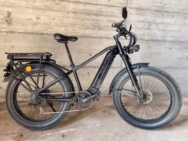 Miloo E-Bike Mighty Beast Easy