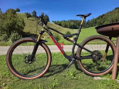 Orbea Oiz