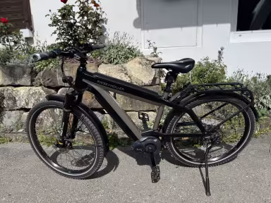 Riese & Müller Supercharger 2 Gt Rohloff