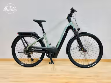 Cannondale Tesoro Neo X 1