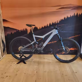 Orbea Rise M-Team