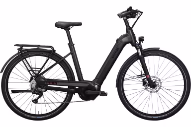 Kettler Alu-Rad Quadriga CX10