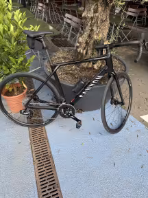 Canyon Endurace Cf 7