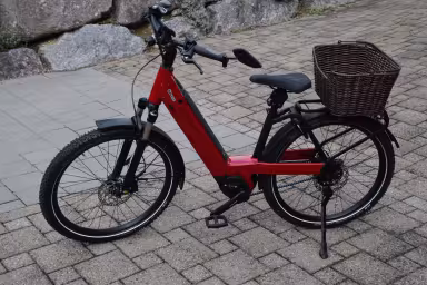 Riese & Müller Nevo4 Gt Vario 26 Zoll