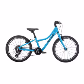 Naloo CHAMELEON Mk2