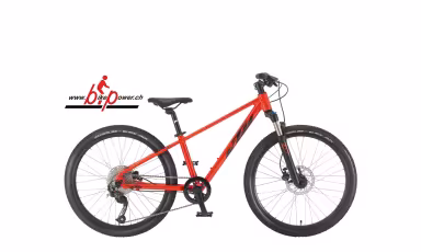 KTM Wild Speed Disc
