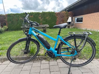 Wheeler I-Vision Hybrid Lady