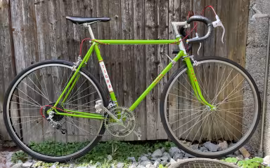 Tigra Professional