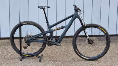 Ibis Ripley V5