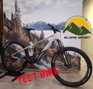 Orbea Wild FS M20