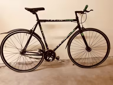 Bergamont Pedro Singlespeed