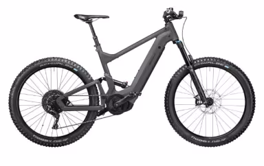 Riese & Müller Delite mountain touring
