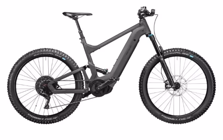 Riese & Müller Delite mountain touring