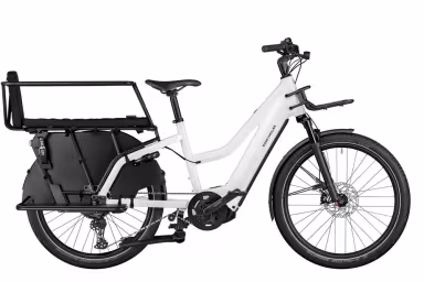 Riese & Müller Multicharger Mixte Gt Family