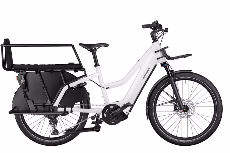 Riese & Müller Multicharger Mixte Gt Family