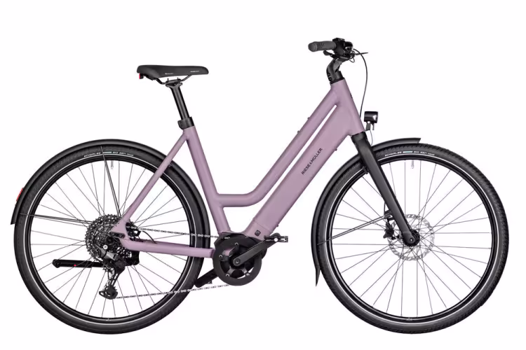 Riese & Müller Culture Mixte Touring