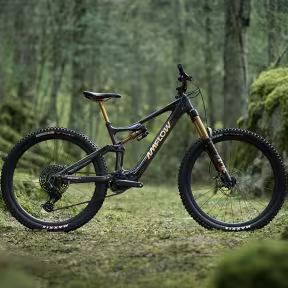 AMFLOW Pl Carbon Pro 800Wh