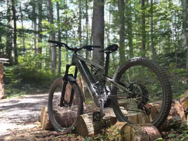 SPECIALIZED Levo Alloy G4