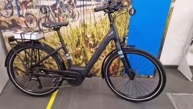 TREK Verve 1+