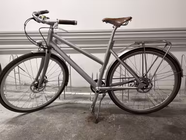 Schindelhauer Frieda