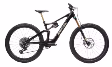 AMFLOW Pl Carbon Pro 800Wh