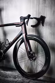 SPECIALIZED Tarmac Frameset