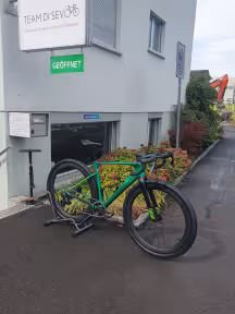 Wilier Rave Slr
