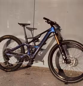 Orbea Rise M10 Custom