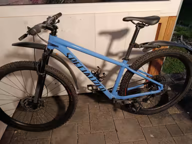 SPECIALIZED Rockhopper Expert 29