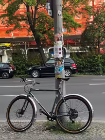SURLY Straggler