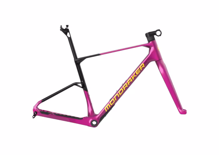Mondraker ARID CARBON