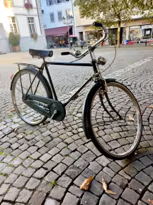Raleigh Tourist